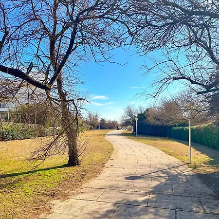 Apartment Pacific - Avec Terrasse Parking Et Clim